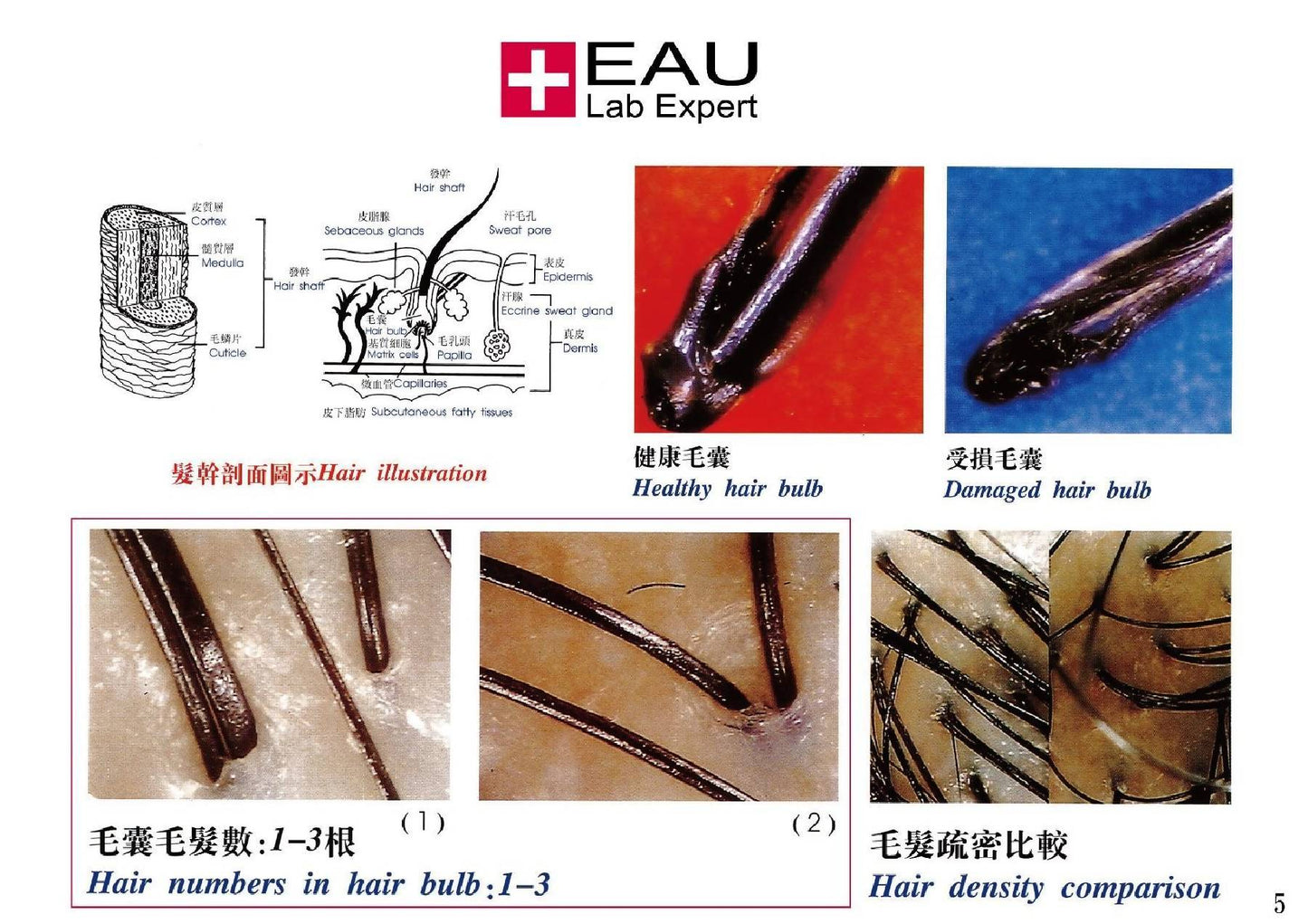 EAU Hydro Energy Moisture Conditioner 200ml test-hair-corner.myshopify.com COM'COM'STORE