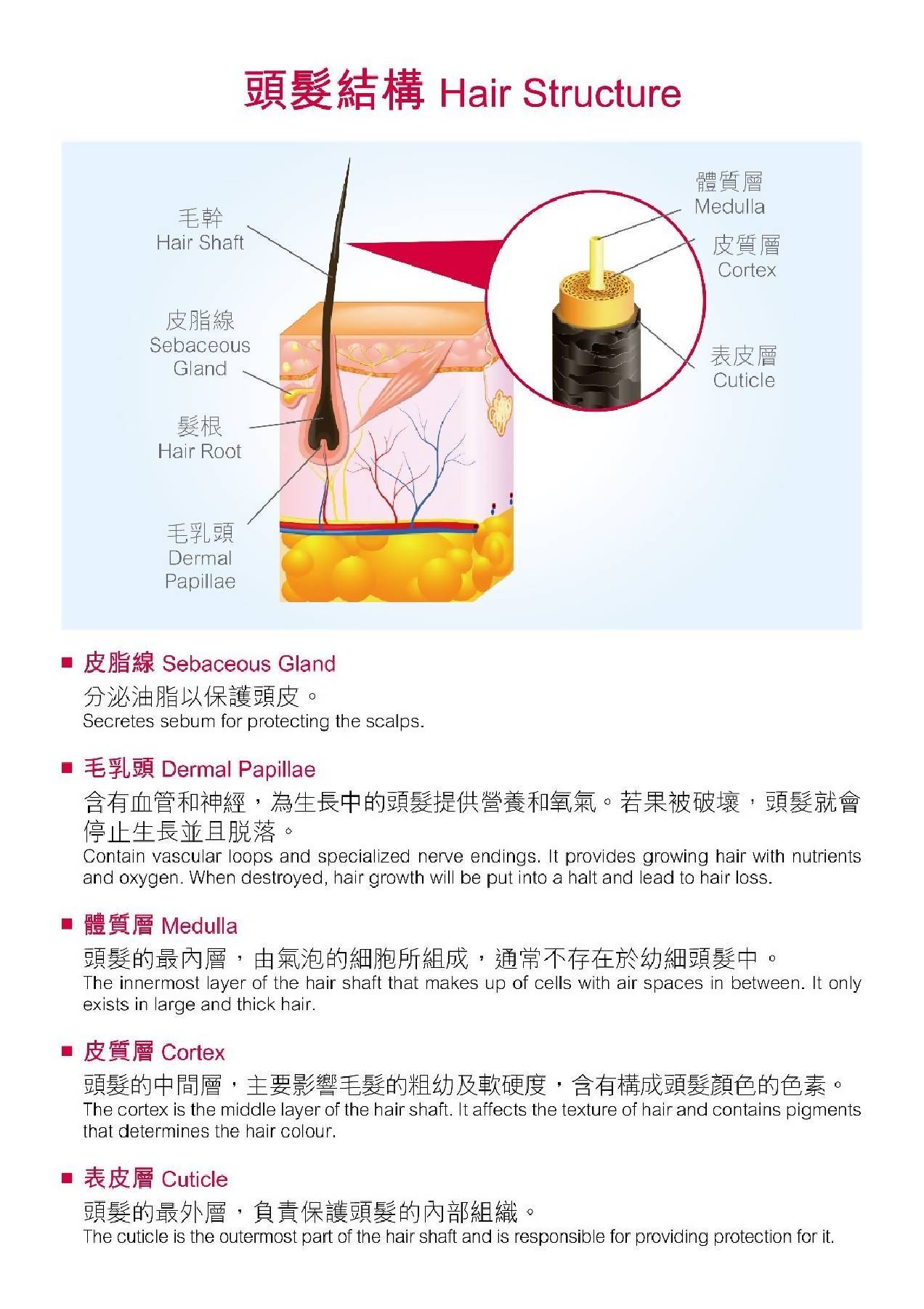 EAU Hydro Energy Moisture Conditioner 200ml test-hair-corner.myshopify.com COM'COM'STORE