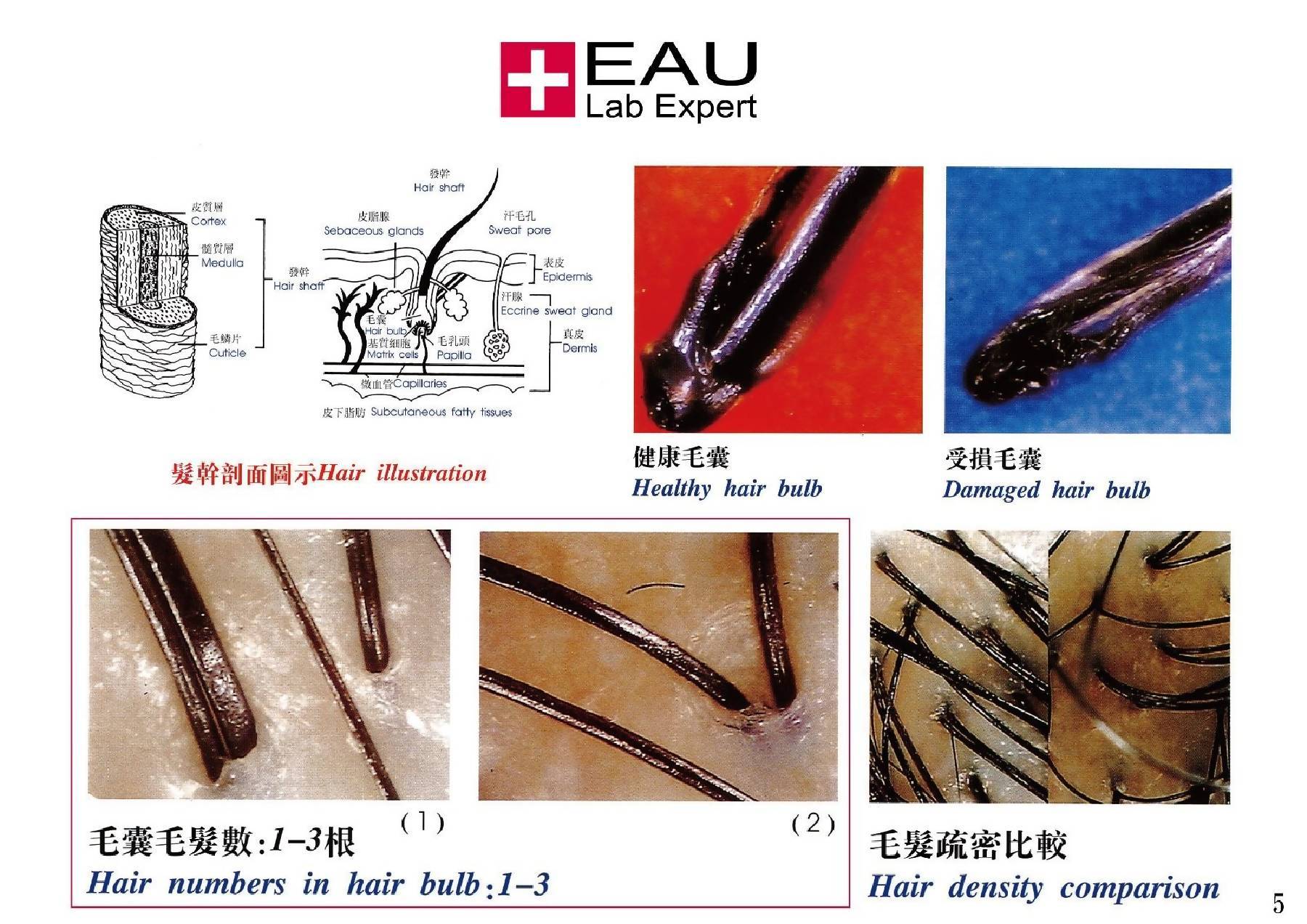 EAU Anti-Irritation and Calming Shampoo 200ml test-hair-corner.myshopify.com COM'COM'STORE